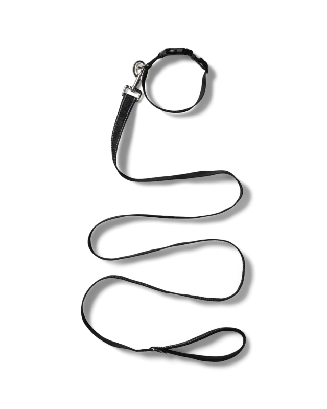 No Problemo NP Pet Lead lesa si zgarda neagra