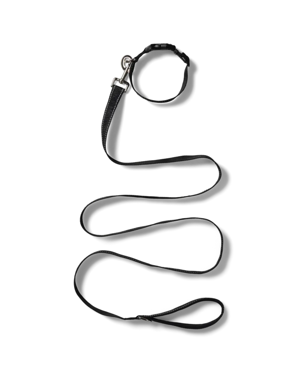 No Problemo NP Pet Lead lesa si zgarda neagra