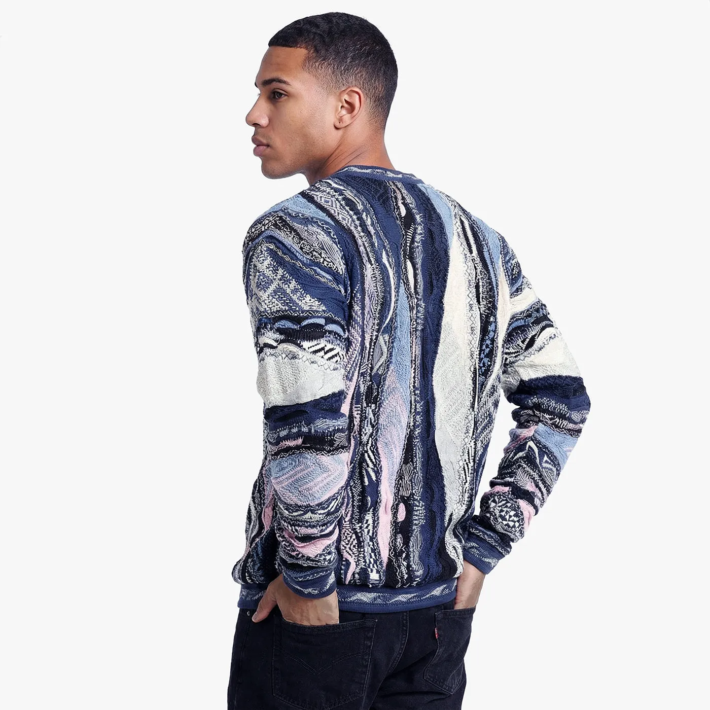 COOGI Washington pulover crewneck multicolor