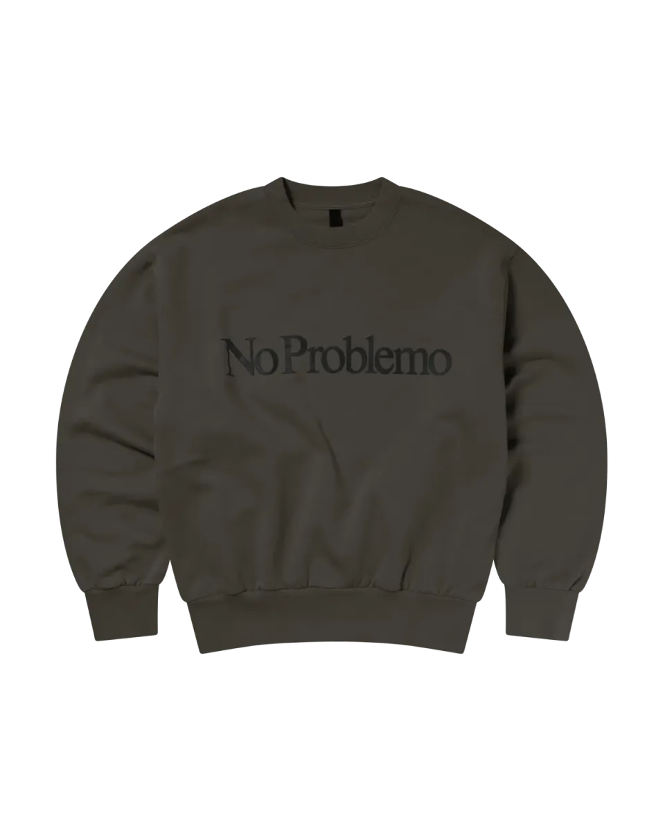 No Problemo Sweatshirt bluza gri fier fleece