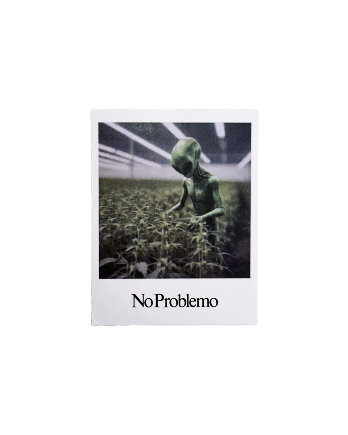 No Problemo Sticker Pack set stickere multicolor OS
