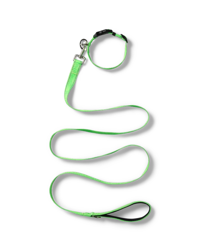 No Problemo NP Pet lesă verde cu zgardă reflectorizantă