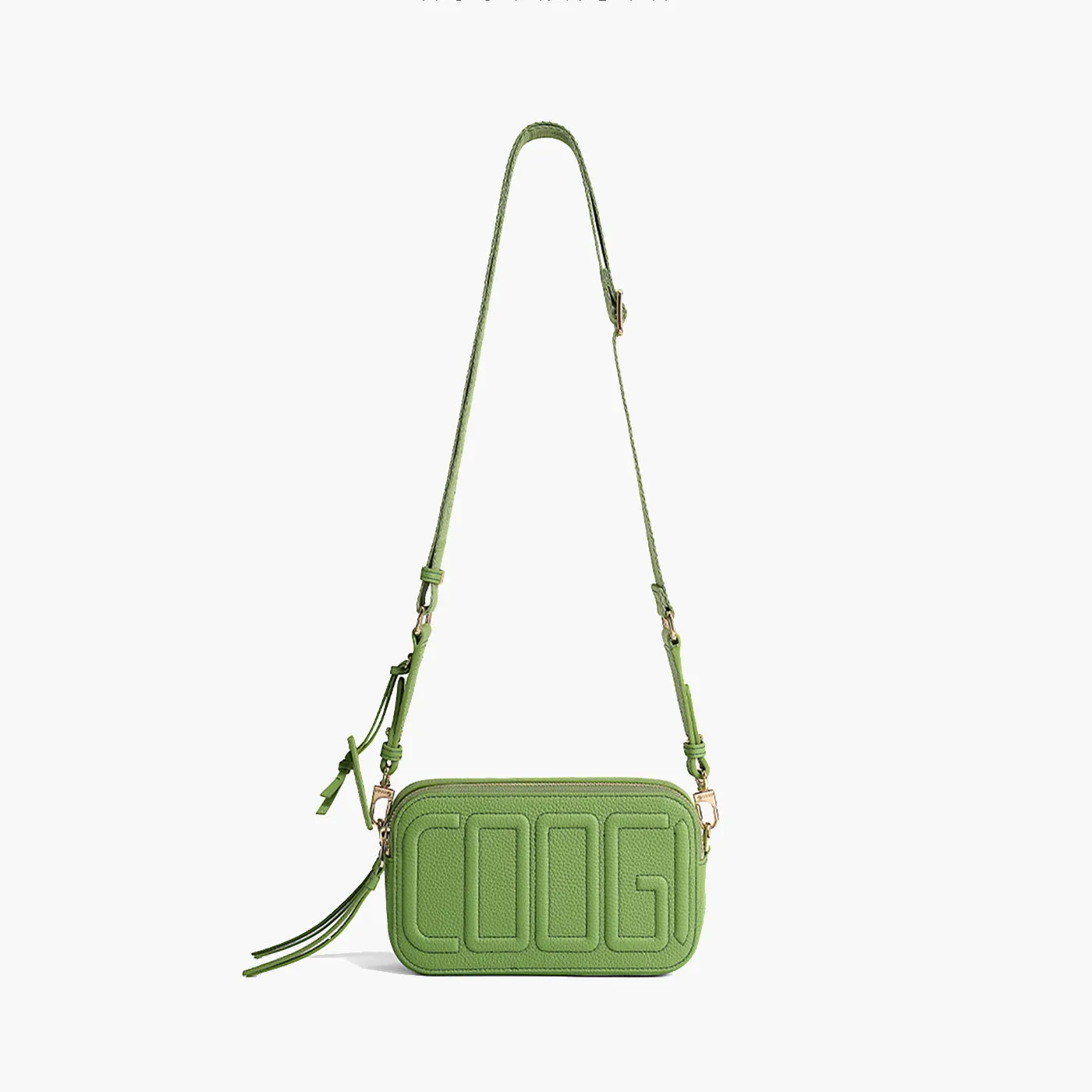 COOGI Dover Geanta Camera Verde Piele 20x11 cm